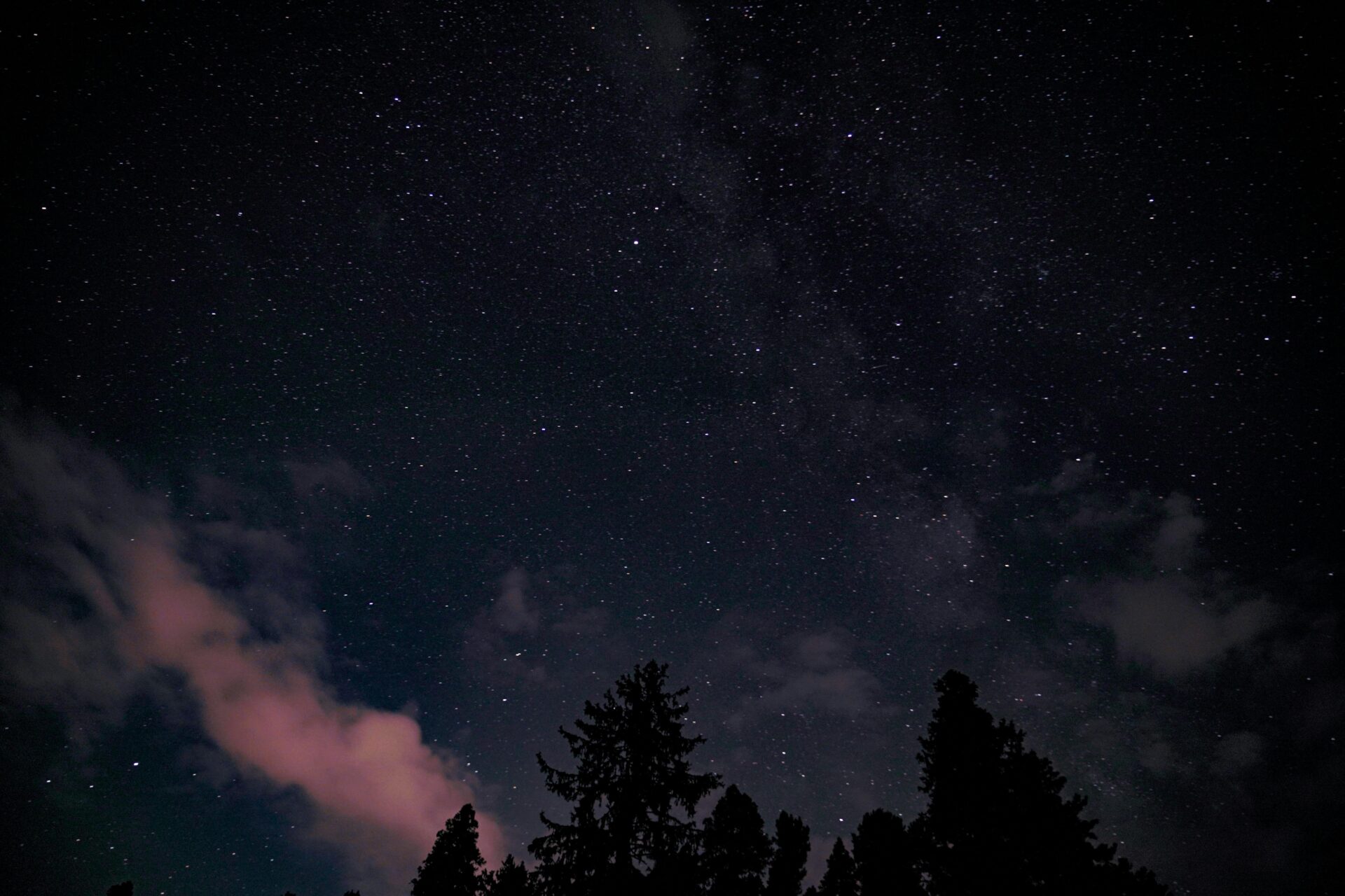 pexels photo 13481903