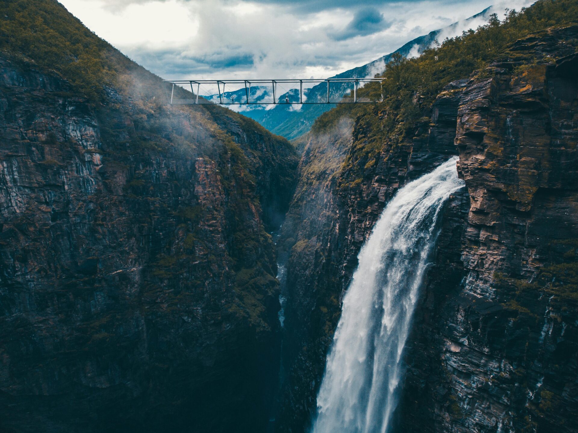 pexels photo 19210733