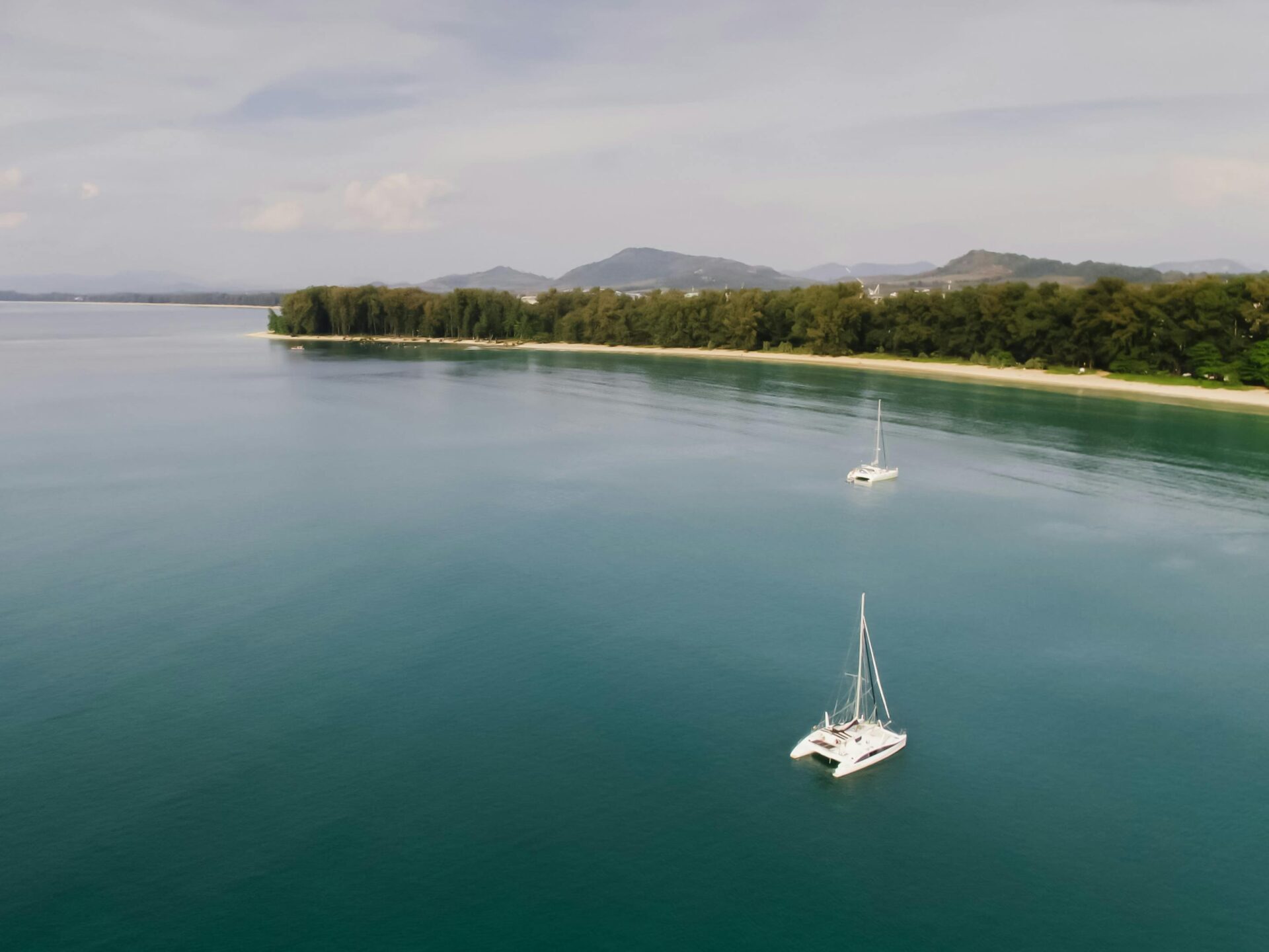 pexels photo 8299832 1